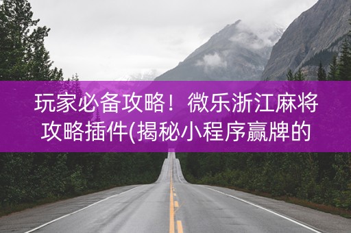 玩家必备攻略！微乐浙江麻将攻略插件(揭秘小程序赢牌的技巧)