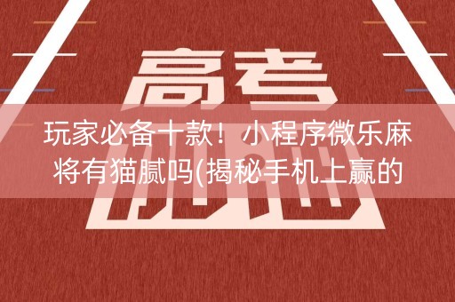 玩家必备十款！小程序微乐麻将有猫腻吗(揭秘手机上赢的诀窍)