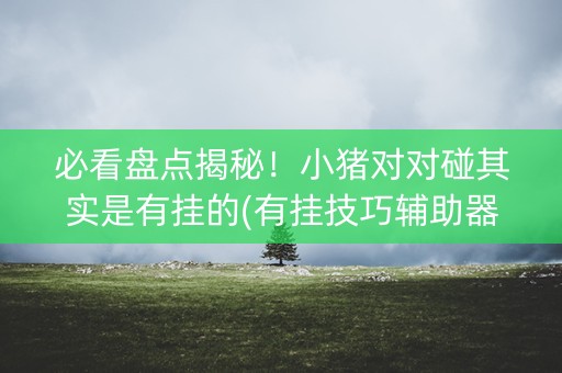 必看盘点揭秘！小猪对对碰其实是有挂的(有挂技巧辅助器)