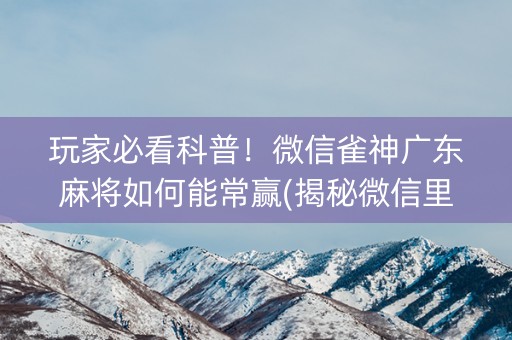 玩家必看科普！微信雀神广东麻将如何能常赢(揭秘微信里提高赢的概率)