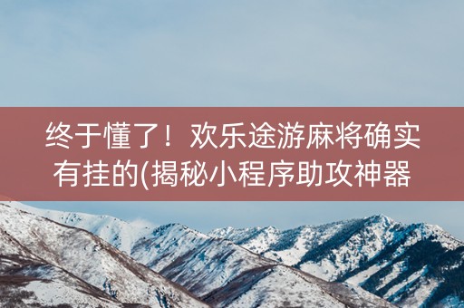 终于懂了！欢乐途游麻将确实有挂的(揭秘小程序助攻神器)