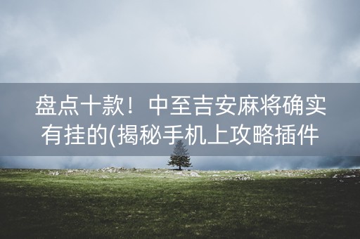 盘点十款！中至吉安麻将确实有挂的(揭秘手机上攻略插件)