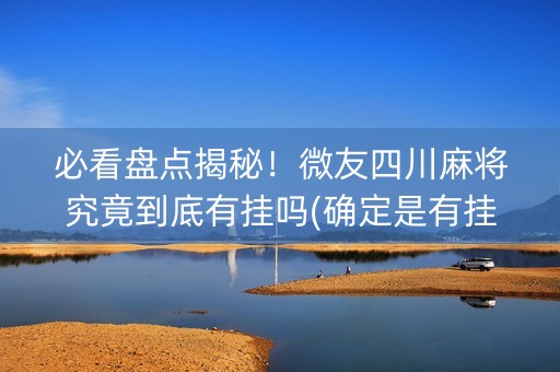 必看盘点揭秘！微友四川麻将究竟到底有挂吗(确定是有挂)