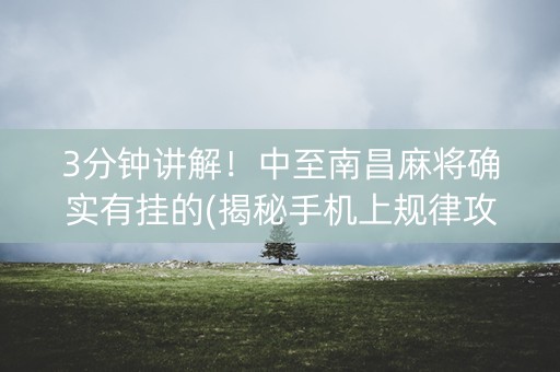 3分钟讲解！中至南昌麻将确实有挂的(揭秘手机上规律攻略)