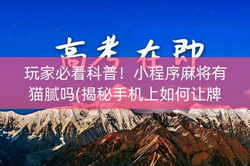 玩家必看科普！小程序麻将有猫腻吗(揭秘手机上如何让牌变好)
