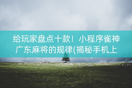 给玩家盘点十款！小程序雀神广东麻将的规律(揭秘手机上助赢软件)