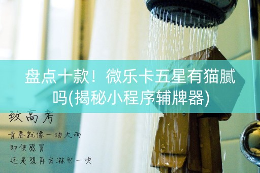 盘点十款！微乐卡五星有猫腻吗(揭秘小程序辅牌器)