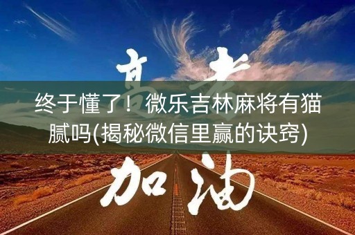 终于懂了！微乐吉林麻将有猫腻吗(揭秘微信里赢的诀窍)