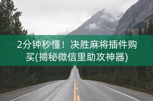 2分钟秒懂！决胜麻将插件购买(揭秘微信里助攻神器)