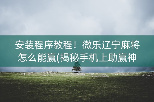 安装程序教程！微乐辽宁麻将怎么能赢(揭秘手机上助赢神器)