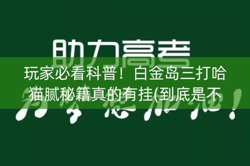 玩家必看科普！白金岛三打哈猫腻秘籍真的有挂(到底是不是有挂)