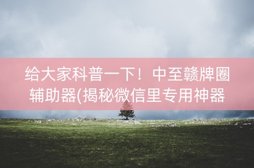 给大家科普一下！中至赣牌圈辅助器(揭秘微信里专用神器)
