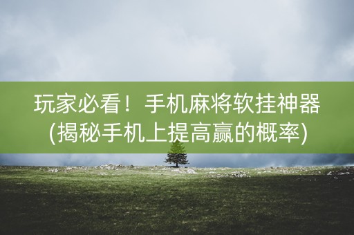 玩家必看！手机麻将软挂神器(揭秘手机上提高赢的概率)