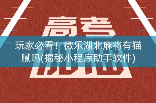 玩家必看！微乐湖北麻将有猫腻吗(揭秘小程序助手软件)