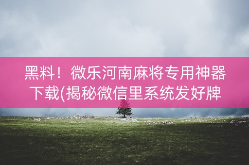 黑料！微乐河南麻将专用神器下载(揭秘微信里系统发好牌)