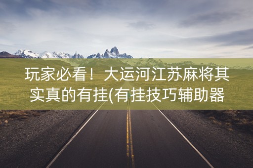 玩家必看！大运河江苏麻将其实真的有挂(有挂技巧辅助器)