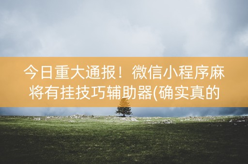 今日重大通报！微信小程序麻将有挂技巧辅助器(确实真的有挂)