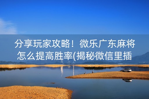 分享玩家攻略！微乐广东麻将怎么提高胜率(揭秘微信里插件下载)