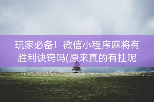 玩家必备！微信小程序麻将有胜利诀窍吗(原来真的有挂呢)