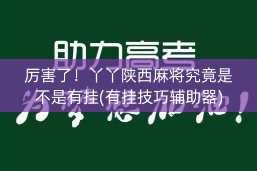 厉害了！丫丫陕西麻将究竟是不是有挂(有挂技巧辅助器)