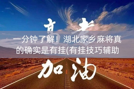 一分钟了解！湖北家乡麻将真的确实是有挂(有挂技巧辅助器)