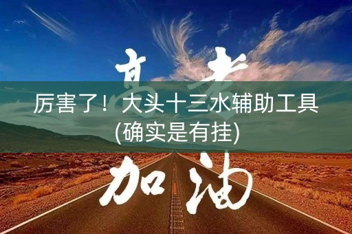 厉害了！大头十三水辅助工具(确实是有挂)