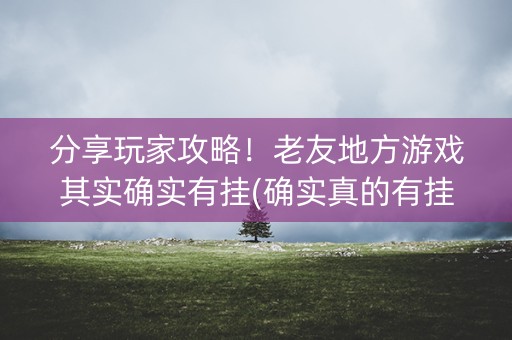 分享玩家攻略！老友地方游戏其实确实有挂(确实真的有挂)