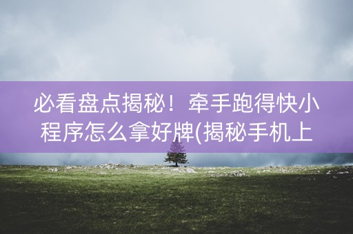 必看盘点揭秘！牵手跑得快小程序怎么拿好牌(揭秘手机上攻略插件)