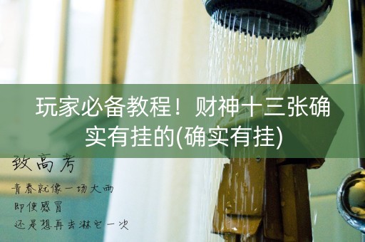 玩家必备教程！财神十三张确实有挂的(确实有挂)