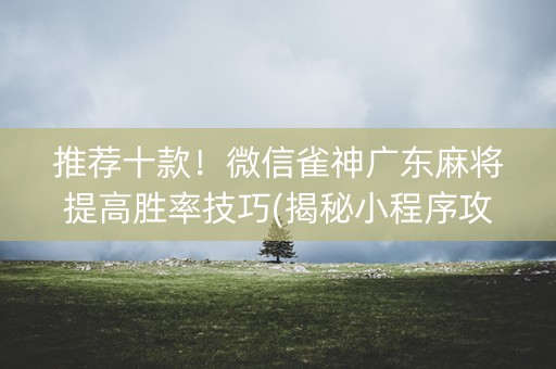 推荐十款！微信雀神广东麻将提高胜率技巧(揭秘小程序攻略插件)