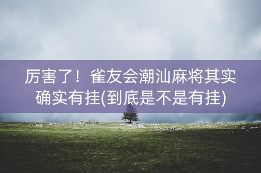 厉害了！雀友会潮汕麻将其实确实有挂(到底是不是有挂)