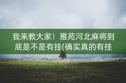 我来教大家！雅苑河北麻将到底是不是有挂(确实真的有挂)