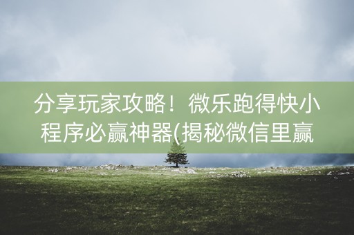 分享玩家攻略！微乐跑得快小程序必赢神器(揭秘微信里赢牌技巧)