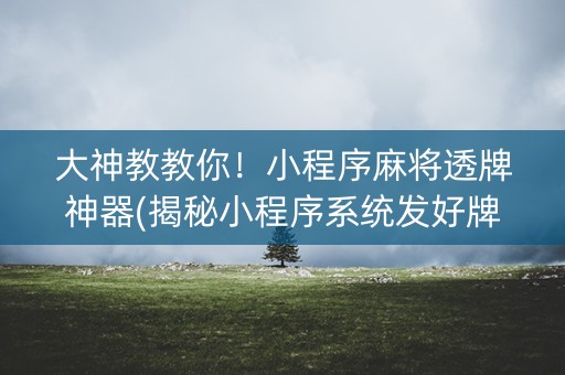 大神教教你！小程序麻将透牌神器(揭秘小程序系统发好牌)