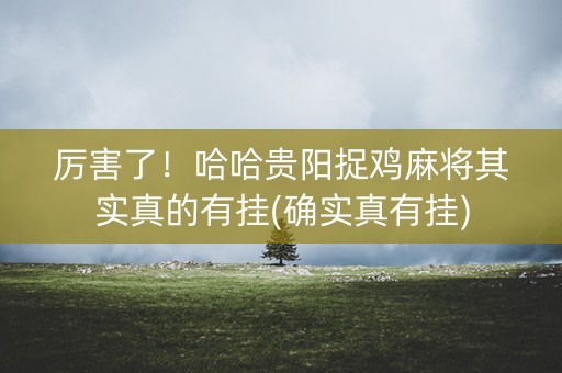 厉害了！哈哈贵阳捉鸡麻将其实真的有挂(确实真有挂)