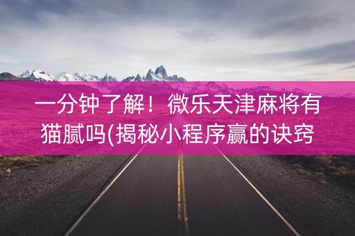 一分钟了解！微乐天津麻将有猫腻吗(揭秘小程序赢的诀窍)