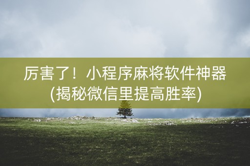 厉害了！小程序麻将软件神器(揭秘微信里提高胜率)