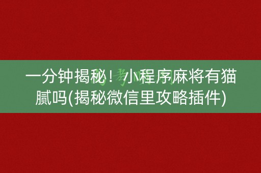 一分钟揭秘！小程序麻将有猫腻吗(揭秘微信里攻略插件)