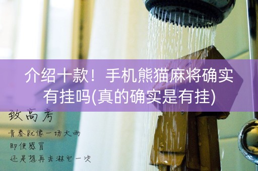 介绍十款！手机熊猫麻将确实有挂吗(真的确实是有挂)