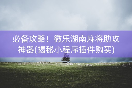 必备攻略！微乐湖南麻将助攻神器(揭秘小程序插件购买)