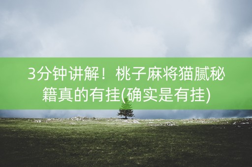 3分钟讲解！桃子麻将猫腻秘籍真的有挂(确实是有挂)