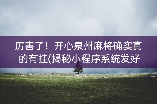 厉害了！开心泉州麻将确实真的有挂(揭秘小程序系统发好牌)