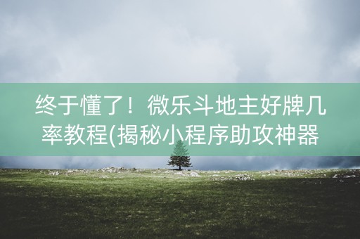 终于懂了！微乐斗地主好牌几率教程(揭秘小程序助攻神器)