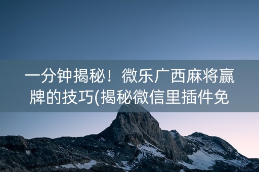 一分钟揭秘！微乐广西麻将赢牌的技巧(揭秘微信里插件免费)