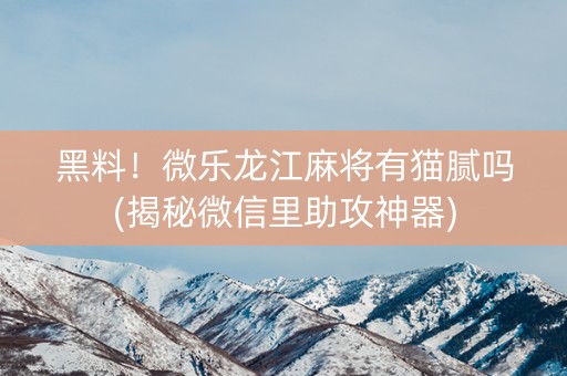 黑料！微乐龙江麻将有猫腻吗(揭秘微信里助攻神器)