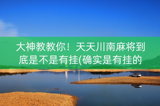 大神教教你！天天川南麻将到底是不是有挂(确实是有挂的)