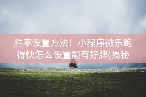 胜率设置方法！小程序微乐跑得快怎么设置能有好牌(揭秘手机上辅牌器)