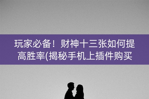 玩家必备！财神十三张如何提高胜率(揭秘手机上插件购买)