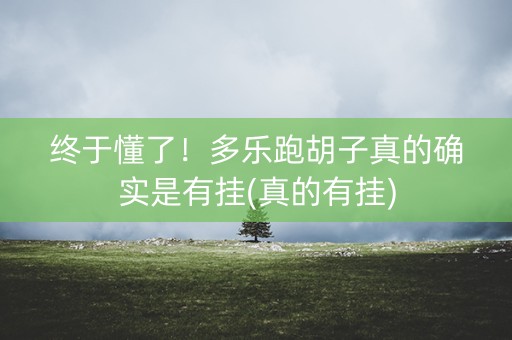 终于懂了！多乐跑胡子真的确实是有挂(真的有挂)