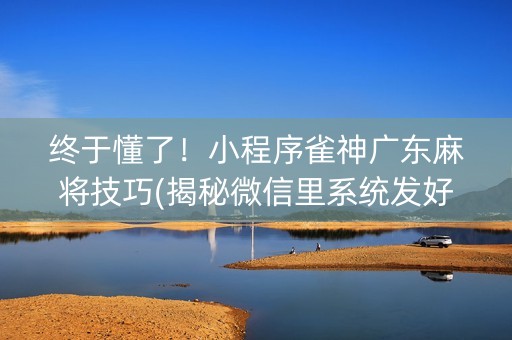 终于懂了！小程序雀神广东麻将技巧(揭秘微信里系统发好牌)